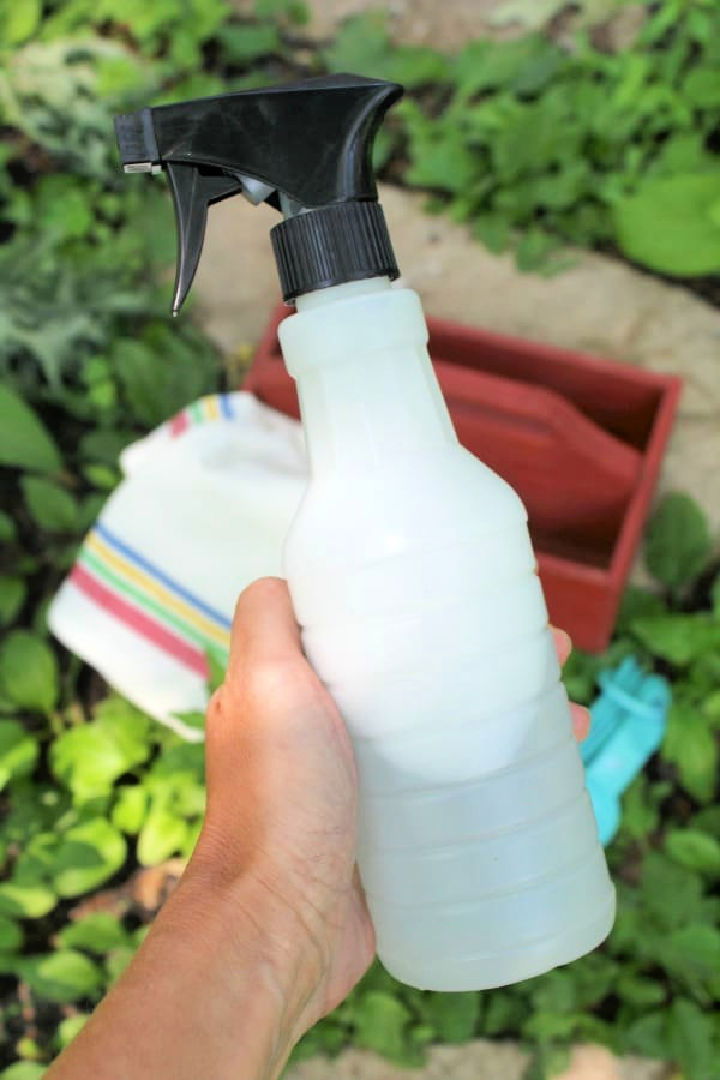 Two Ingredient Weed Killer