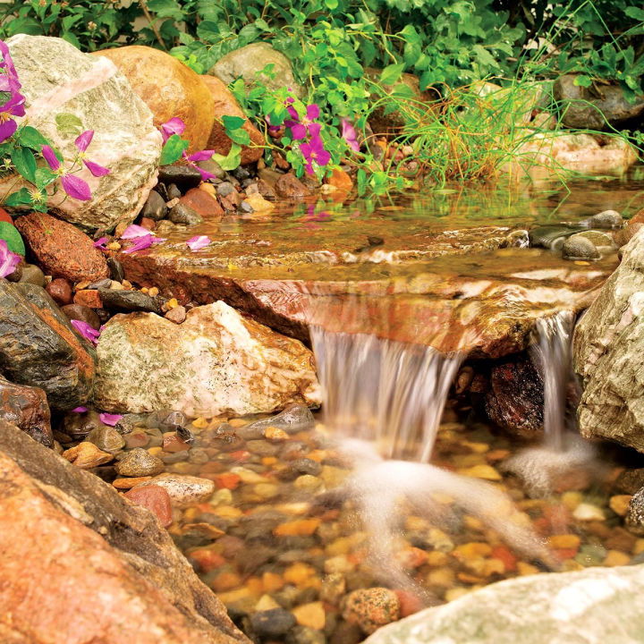 Backyard Waterfall and Stream