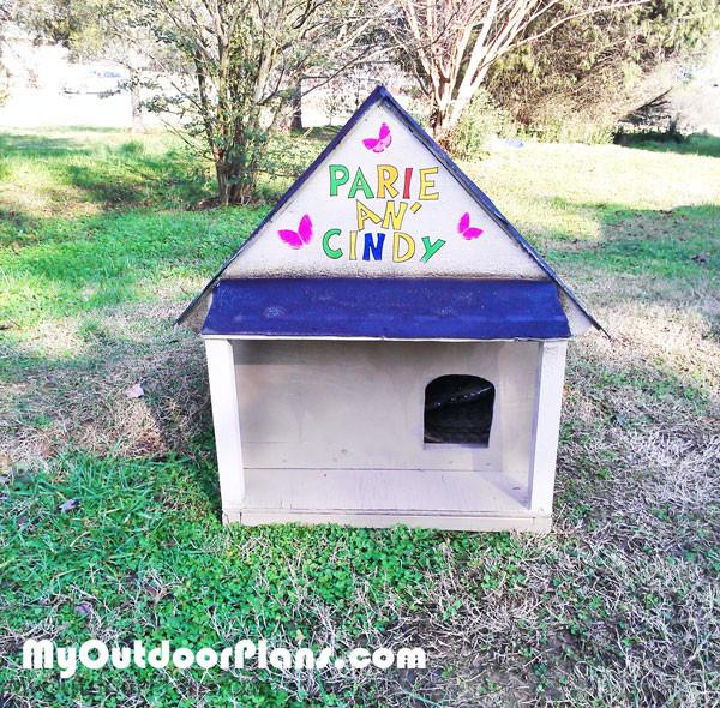 Build an Outdoor Cat House