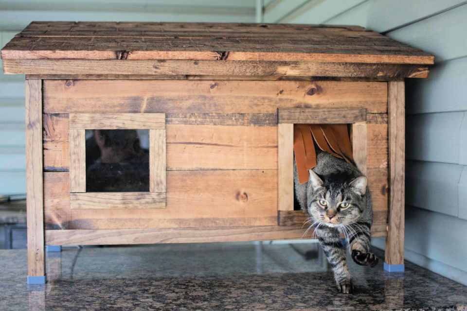 Homemade insulated outlet cat house