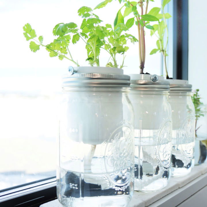 DIY Self Watering Herb Planter