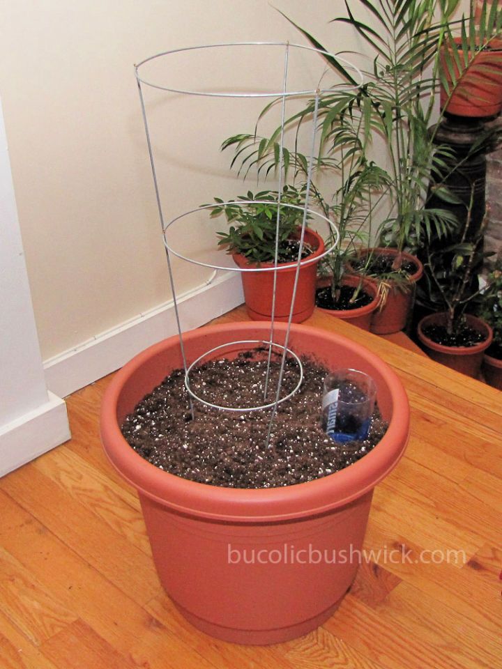 How to Make a Self Watering Planter