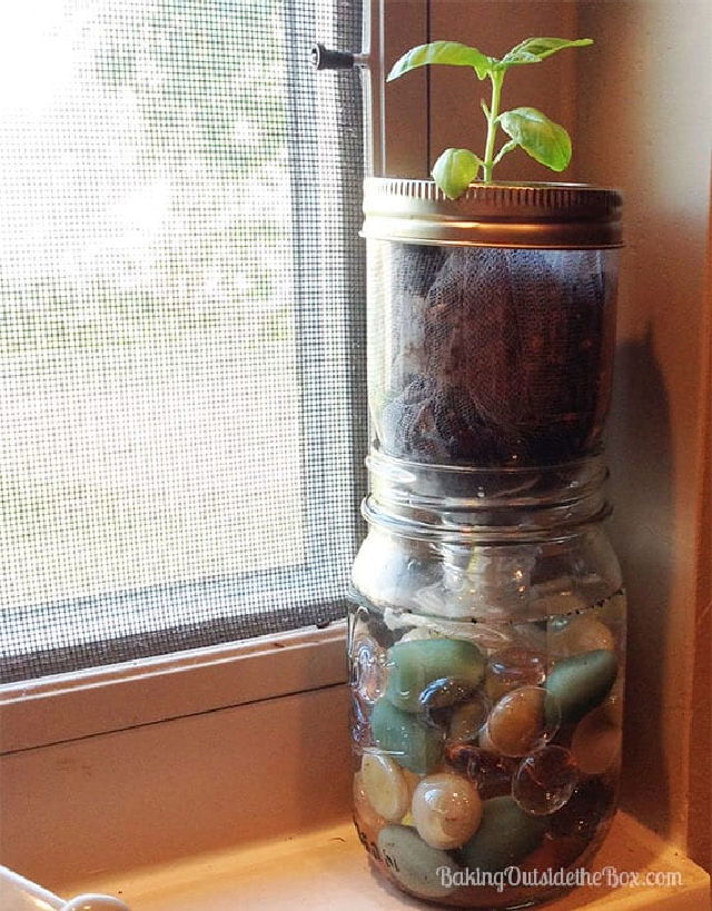 Self Watering Indoor Mason Jar Planter