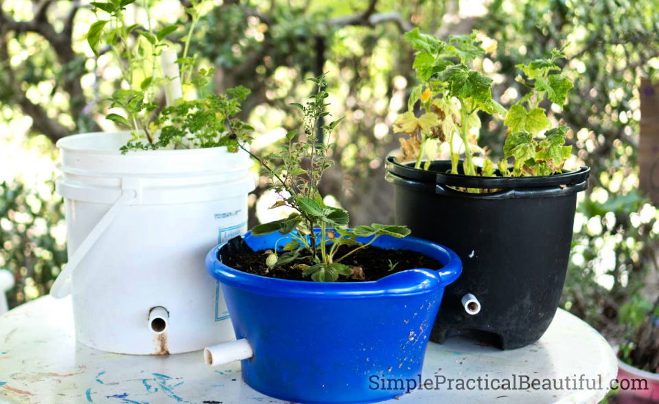 Self watering Planter for Patio