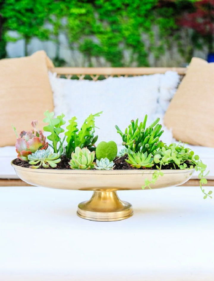 Anthropologie Inspired Succulent Planter