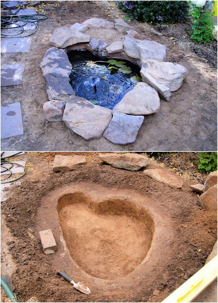 Build a Small Fish Pond