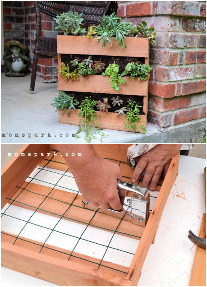 Cedar Pallet Succulent Planter