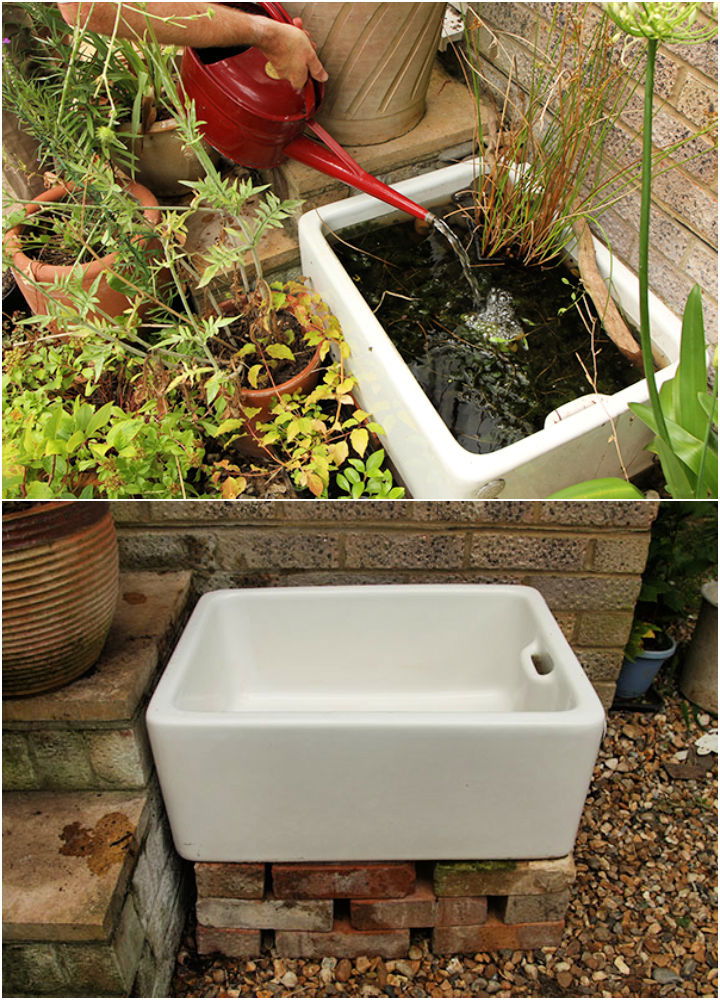 Create a Mini Pond