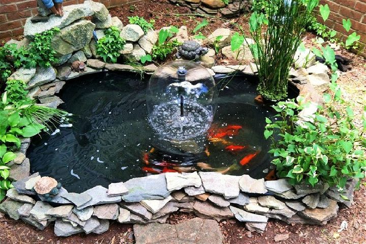 DIY Koi Fish Pond
