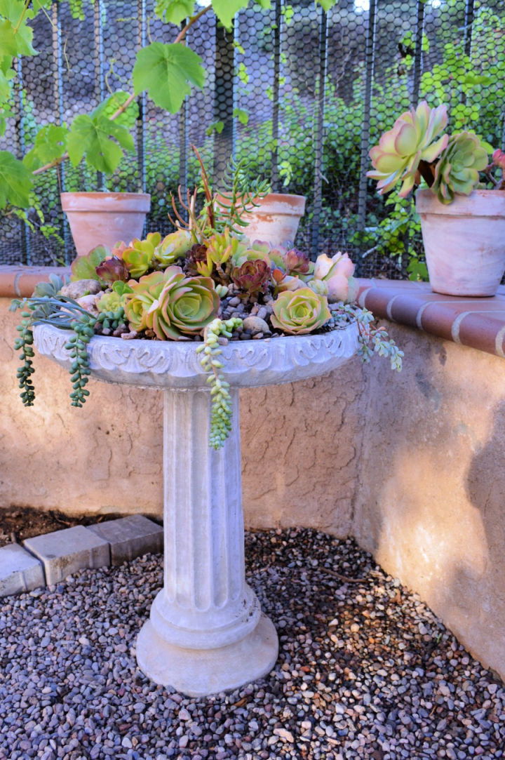 DIY Succulent Birdbath Planter