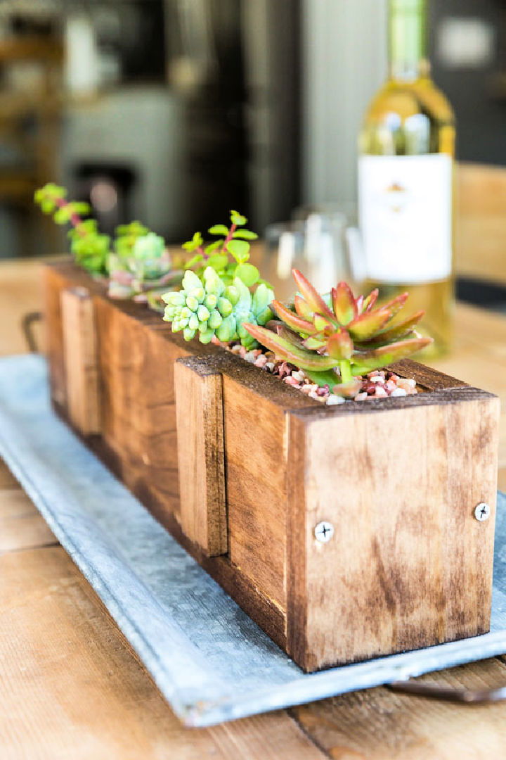 DIY Wood Succulent Planter