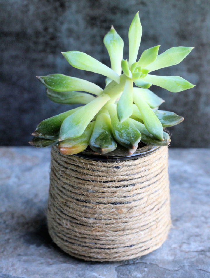 Glass Yogurt Jars to Succulent Planter