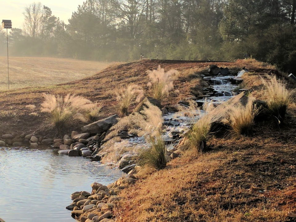 How to Build a Natural Swimming Pond