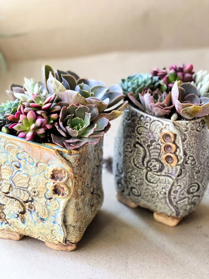 How to Make a Succulent Planter