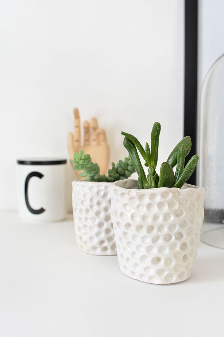 Make Your Own Mini Succulent Planters