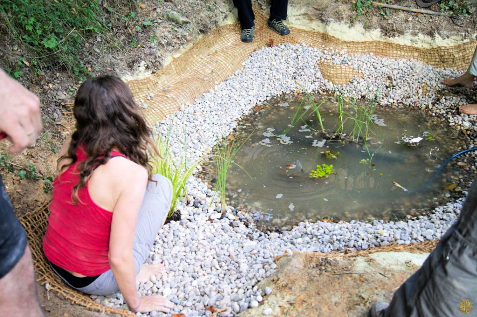 DIY Natural Pond