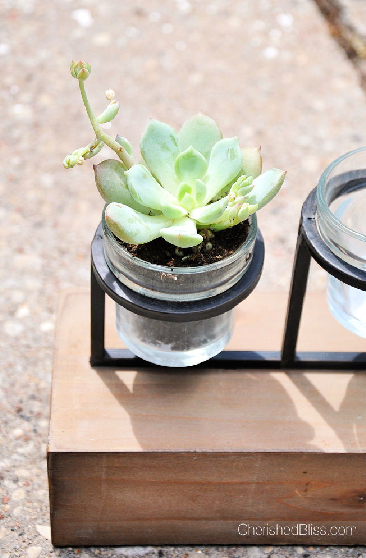 Make a Succulent Planter