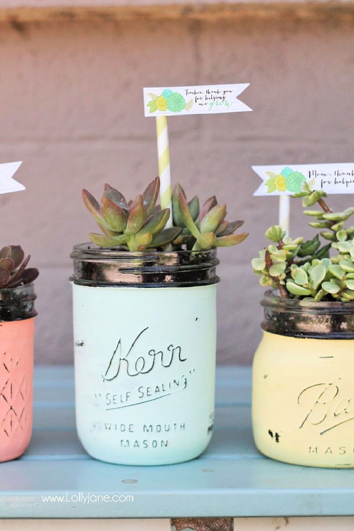 Mason Jar Succulent Pots