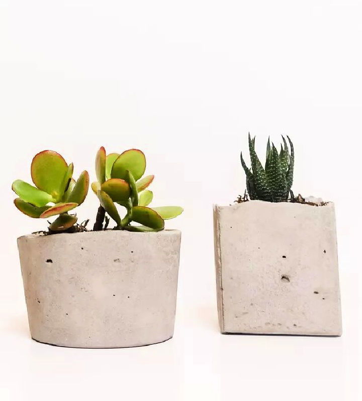 Modern Succulent Planter Using Concrete