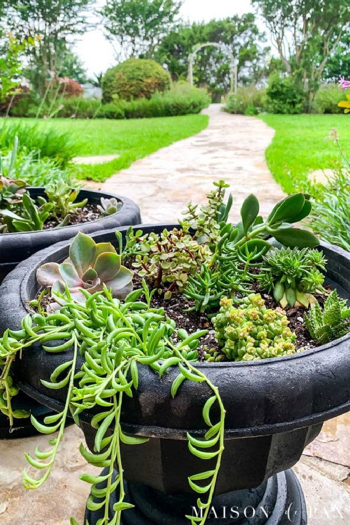 Modern Succulent Planters