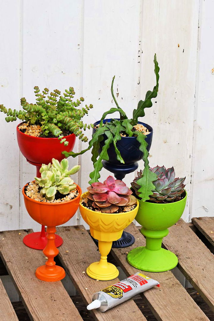 Repurposed Planters for Succulents