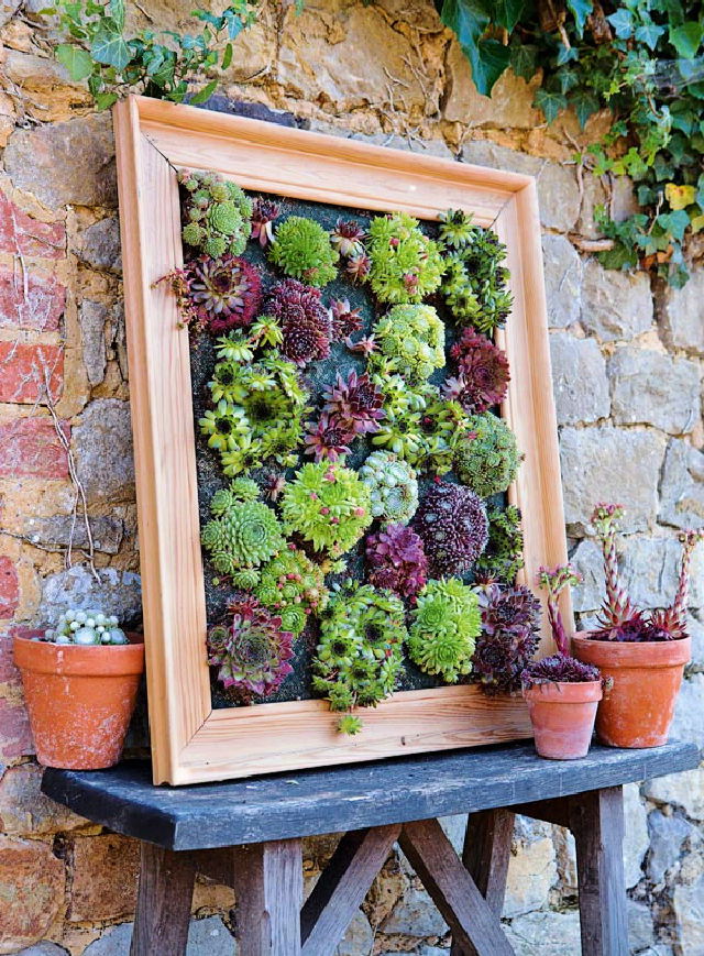 Succulent Wall Planter