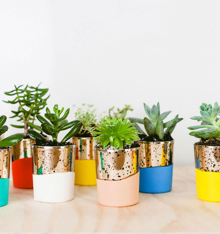 DIY Colorblock Succulent Favors