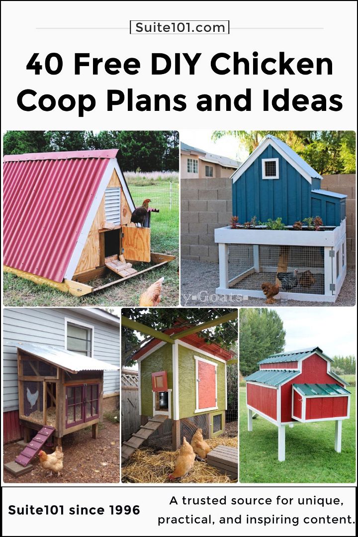 40 Free DIY Chicken Coop Plans and Ideas