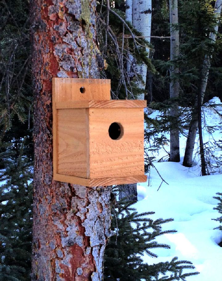 1 Cedar Birdhouse