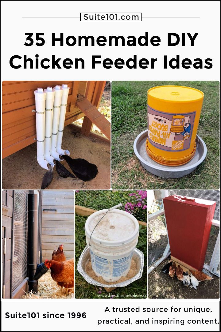 35 Homemade DIY Chicken Feeder Ideas