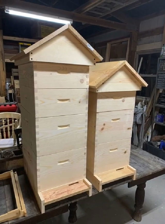 8 Frame Bee Hive