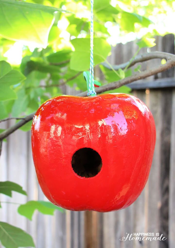 Apple Shaped Gourd Birdhouse