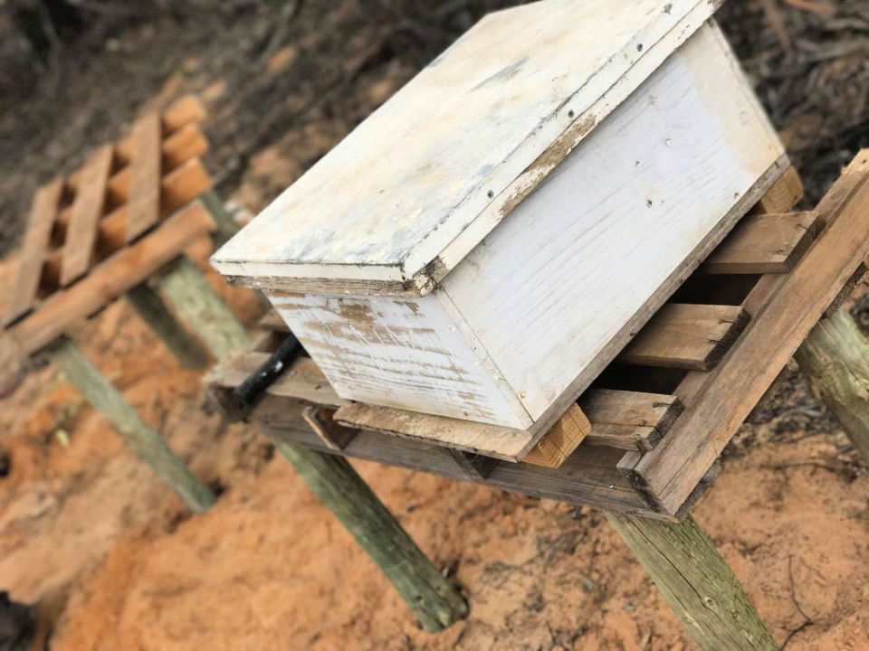 Bee Hive Stand on the Cheap