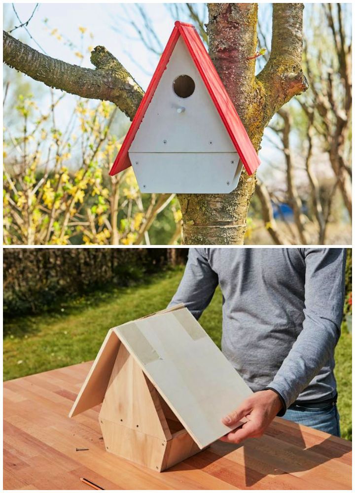 Birdhouse for Garden