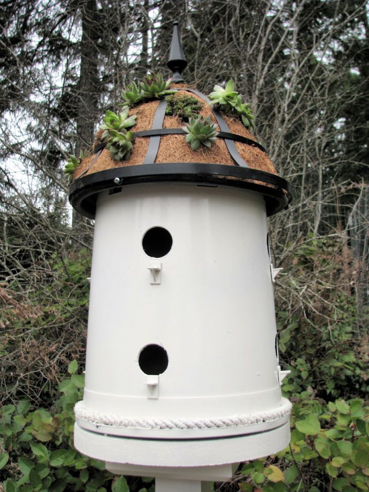 Bucket Into a Bird House