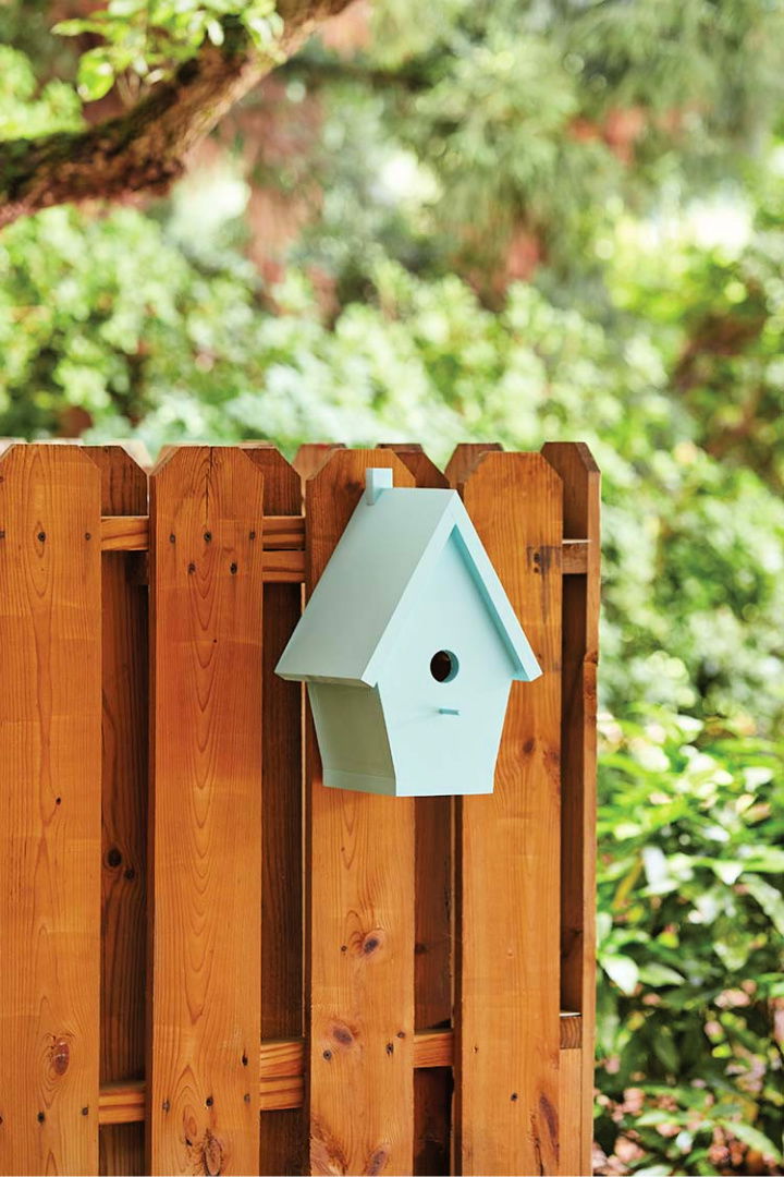 Build a Birdhouse