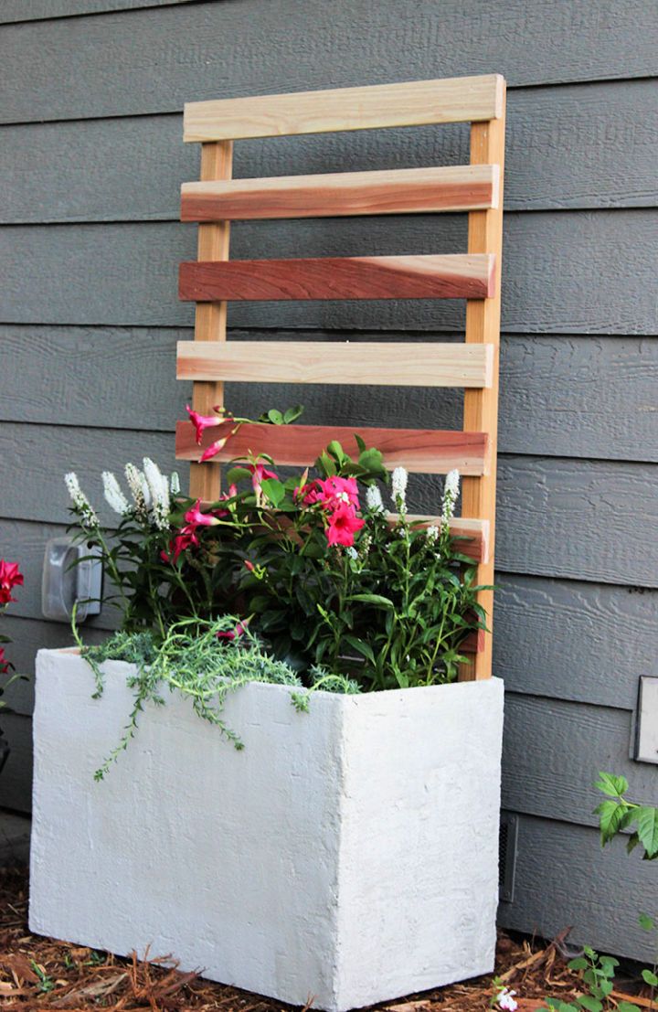 Build a Concrete Planter Box