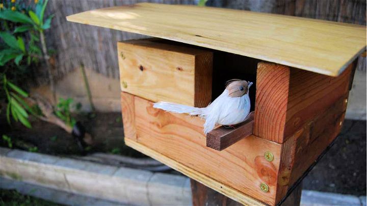Build a Modern Birdhouse