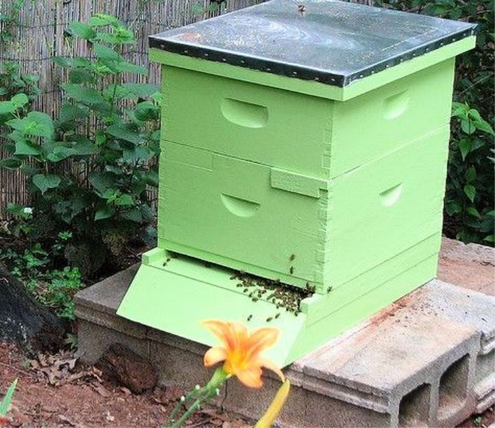 Build a Wooden Bee Hive