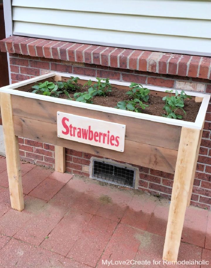 Build an Elevated Planter Box