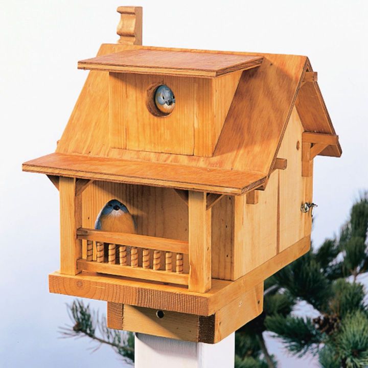 DIY Backyard Birdhouse