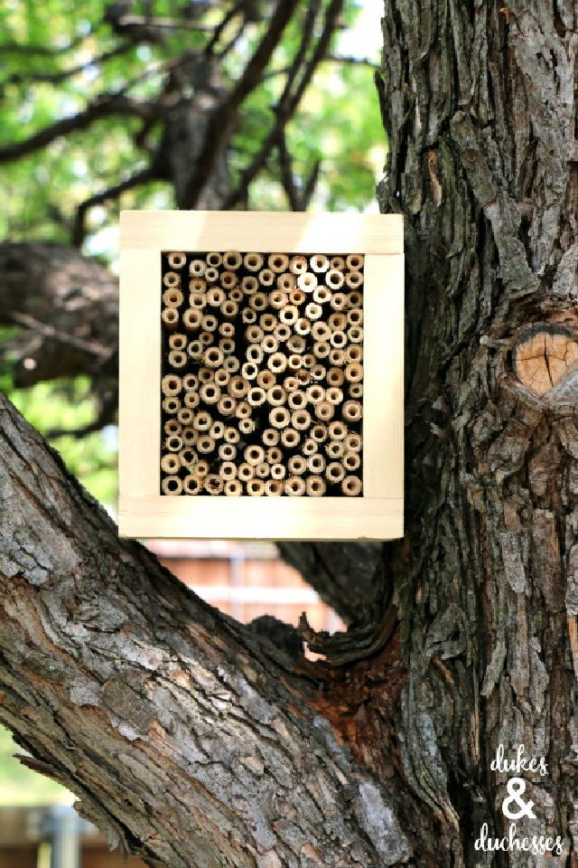 DIY Bee House