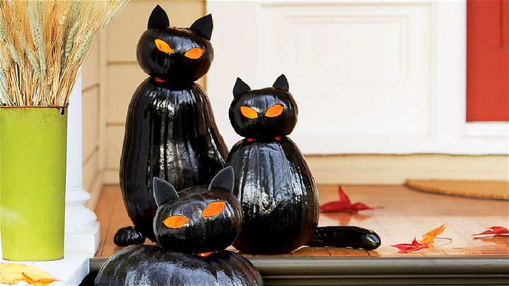 DIY Black Cat OLanterns