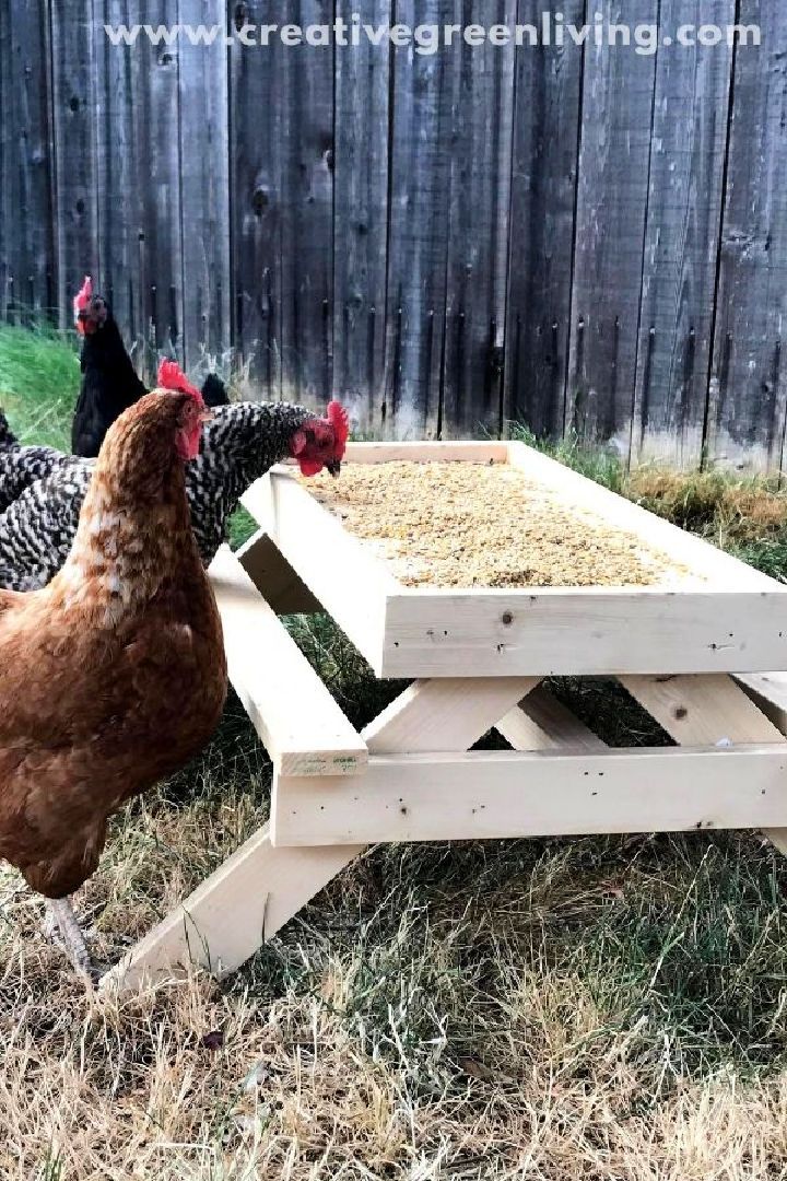 DIY Chicken Table