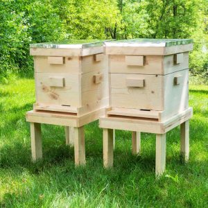 25 Free DIY Beehive Plans to Build Your Own Bee Box