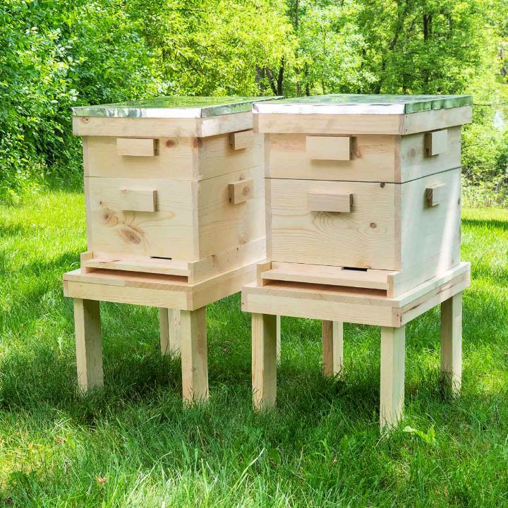 DIY Langstroth Beehive