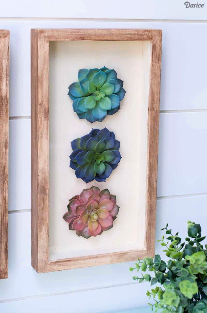 DIY Succulent Wall Art