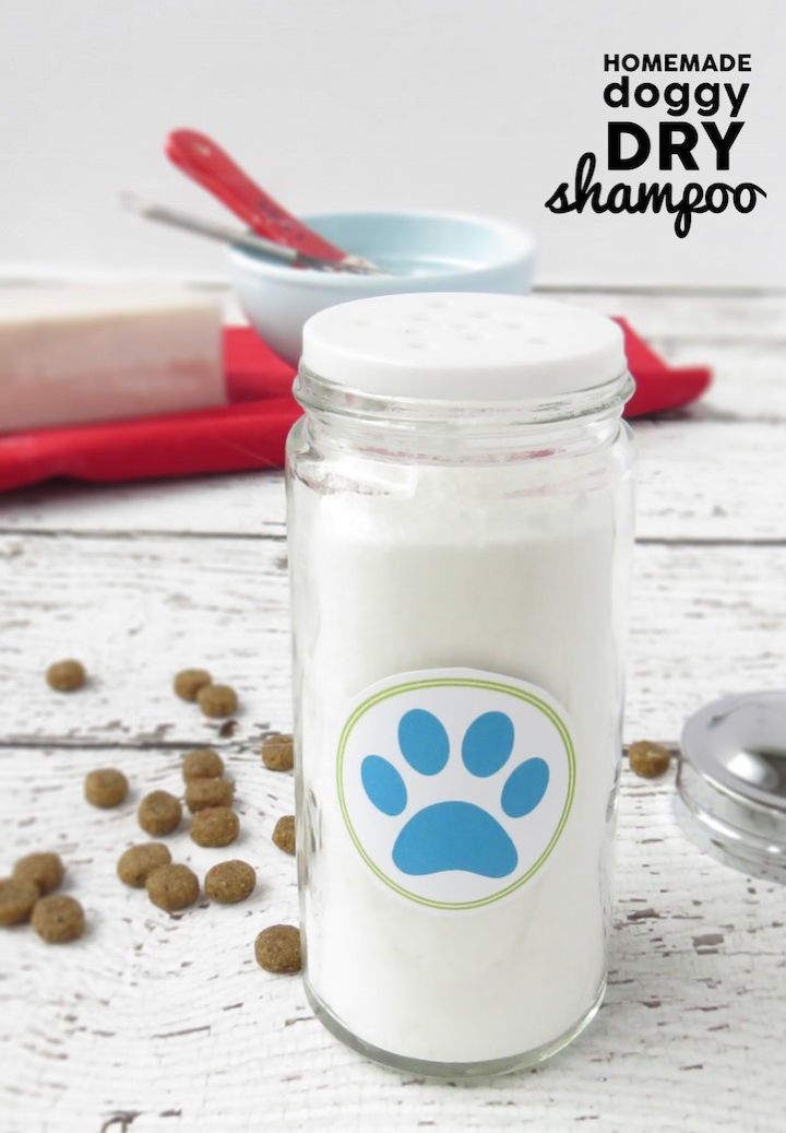 Dry Shampoo for Dogs