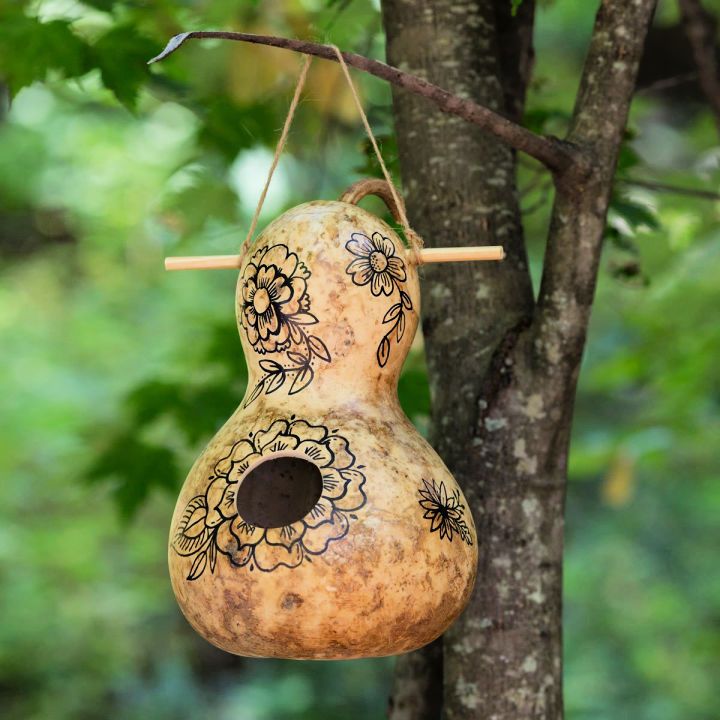 Gourd Into a Birdhouse
