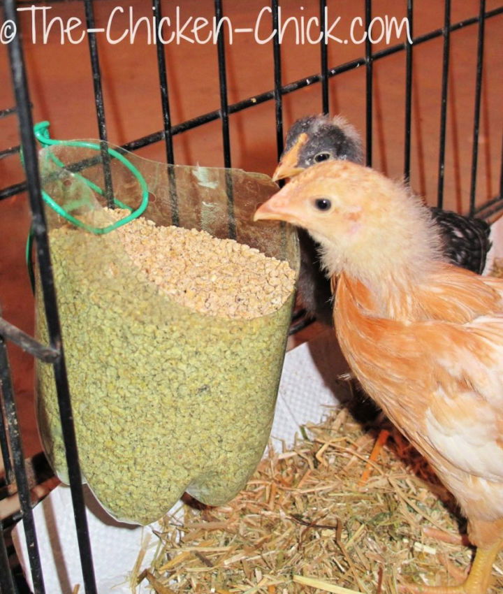 Hanging Plastic Bottle Chicken Feeder